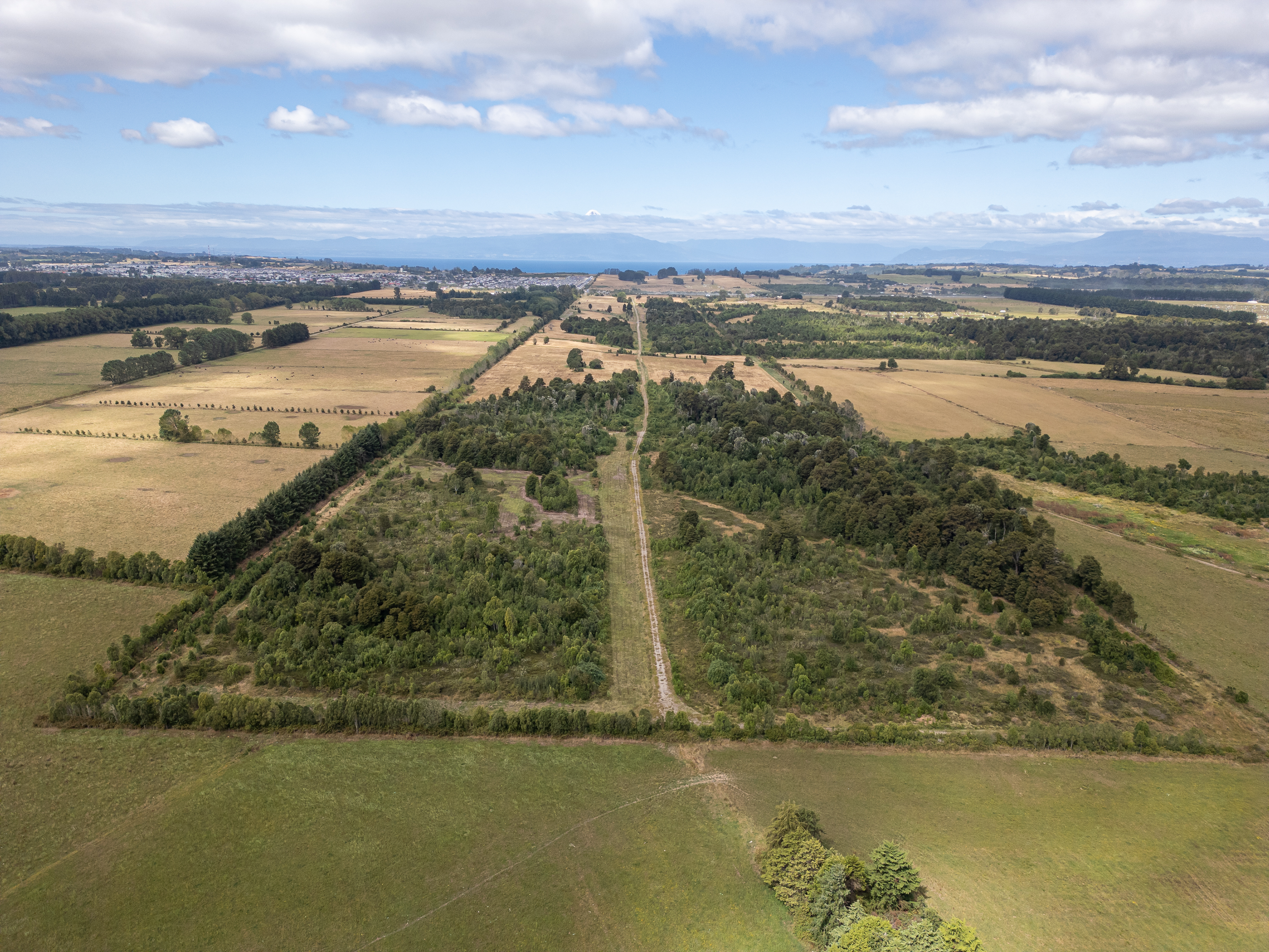 Derecho Real de Conservación