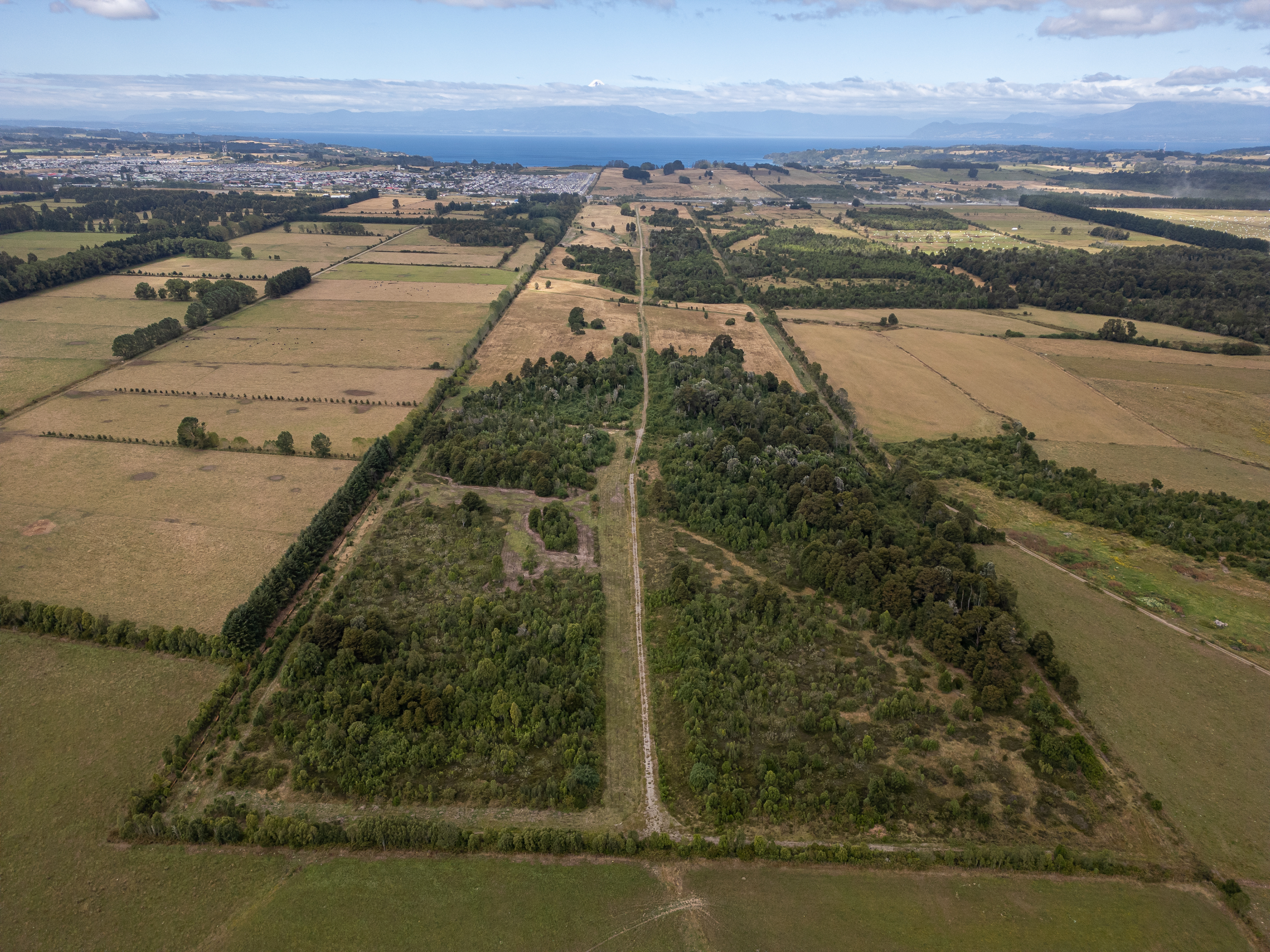 Parcela Bosque Nativo