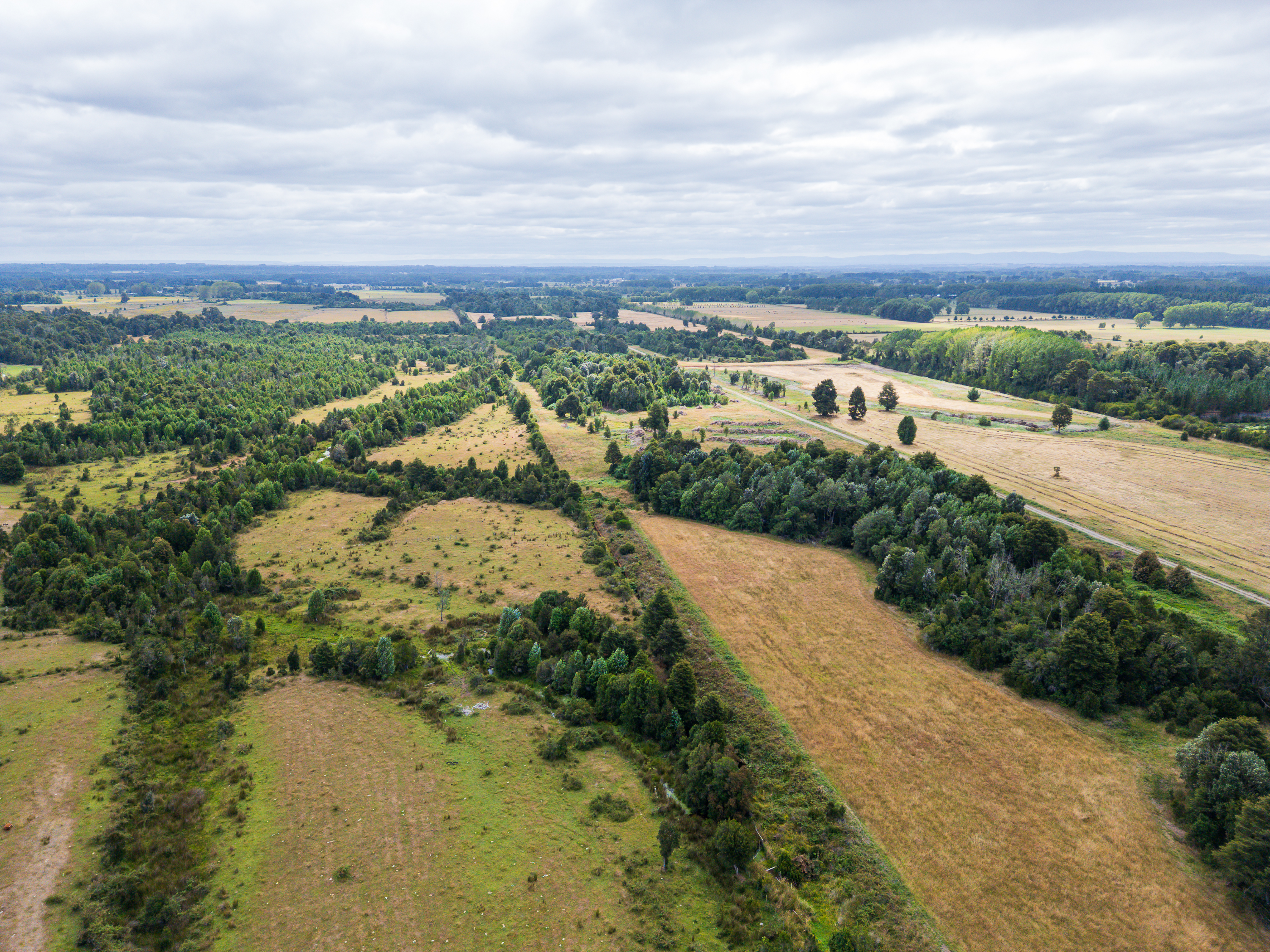 Invierte en conservación