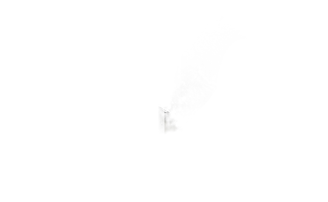 Colibrí Patagona gigas