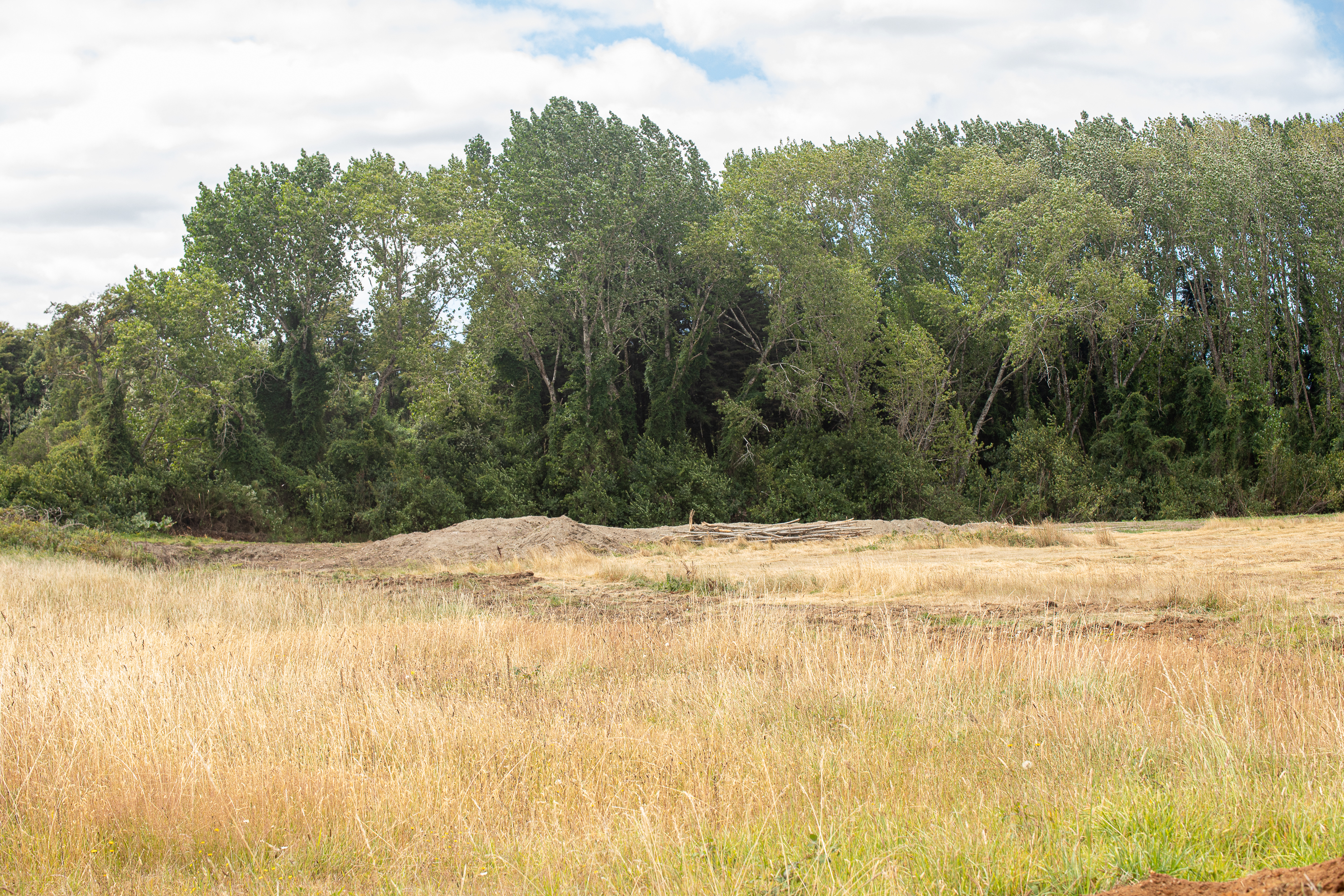 Parcela Sendero del Bosque